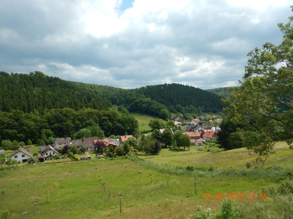 Gasthaus Koehlerhof Delliehausen Bagian luar foto